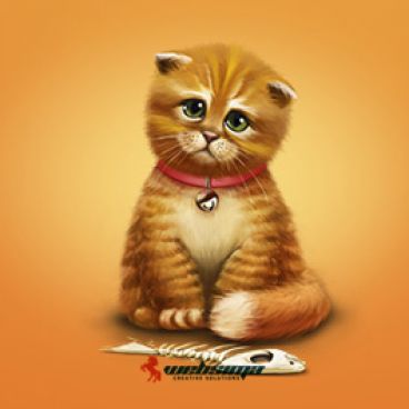 نکاتی برای طراحی سایت نوجوان