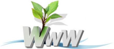 نکات کلیدی در طراحی وب سایت