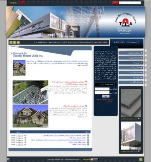 طراحی سایت شرکت توسعه تجاری صنعتی تندیس نگار آسیا